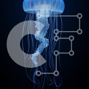 Intra Συλλεκτικό Ξύλινο Παζλ Plywood  4mm - Χαριτωμένη μέδουσα στο σκοτεινό νερό Σε Ξύλινο Κουτί - Διαστάσεις: 10x10 cm – 25 κομμάτια