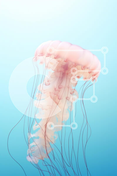 Intra Συλλεκτικό Ξύλινο Παζλ Plywood  4mm - Ημιδιάφανη μέδουσα στα γαλάζια νερά Σε Ξύλινο Κουτί - Διαστάσεις: 10x10 cm – 25 κομμάτια