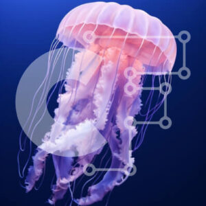 Intra Συλλεκτικό Ξύλινο Παζλ Plywood  4mm - Χαριτωμένη μέδουσα που κολυμπά στο βαθύ μπλε νερό Σε Ξύλινο Κουτί - Διαστάσεις: 10x10 cm – 25 κομμάτια