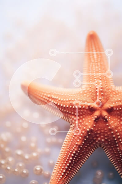 Intra Συλλεκτικό Ξύλινο Παζλ Plywood  4mm - Κοντινό πλάνο ενός πορτοκαλιού αστερίας σε μαλακό φόντο Σε Ξύλινο Κουτί - Διαστάσεις: 10x10 cm – 25 κομμάτια