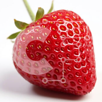 Intra Συλλεκτικό Ξύλινο Παζλ Plywood  4mm - Φρέσκια φράουλα σε άσπρο φόντο Σε Ξύλινο Κουτί - Διαστάσεις: 10x10 cm – 25 κομμάτια - Image 1