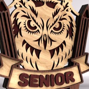 Intra απο ξύλο plywood 3mm-4mm πάχος – Σχεδιασμός κουκουβάγιας για αποφοίτηση Δίασταση 20x20 cm INTRAFABR-122455626