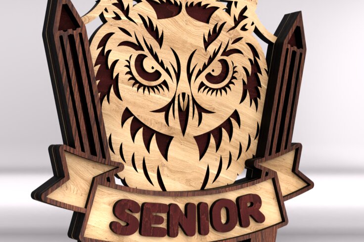 Intra απο ξύλο plywood 3mm-4mm πάχος – Σχεδιασμός κουκουβάγιας για αποφοίτηση Δίασταση  20x20 cm INTRAFABR-122455626