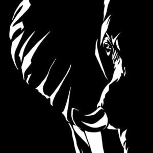 Intra απο ξύλο plywood 3mm-4mm πάχος - Χαράξτε το πορτρέτο ελέφαντα Δίασταση 30x30 cm Intraeaxys-eo0qgv91