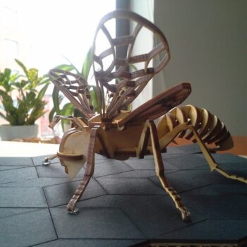 Intra απο ξύλο plywood 3mm-4mm πάχος - Μέλισσα 3mm Δίασταση 30x30 cm Intraeaxys-67wlkwm1 - Image 6