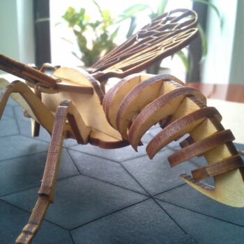 Intra απο ξύλο plywood 3mm-4mm πάχος - Μέλισσα 3mm Δίασταση 30x30 cm Intraeaxys-67wlkwm1 - Image 8