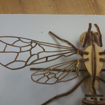 Intra απο ξύλο plywood 3mm-4mm πάχος - Bee 3D Puzzle 3mm Δίασταση 30x30 cm Intraeaxys-eo0q96w1 - Image 3