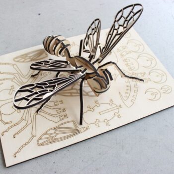 Intra απο ξύλο plywood 3mm-4mm πάχος - Bee 3D Puzzle 4mm Δίασταση 30x30 cm Intraeaxys-075y3epo - Image 4