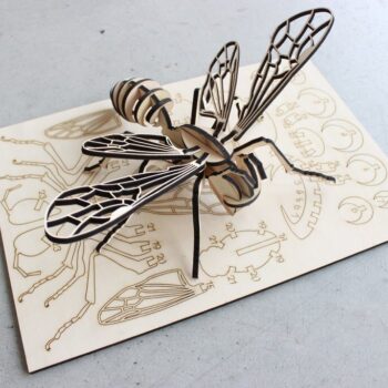 Intra απο ξύλο plywood 3mm-4mm πάχος - Bee Puzzle 4mm Κόντρα πλακέ Δίασταση 30x30 cm Intraeaxys-91jdq841 - Image 3