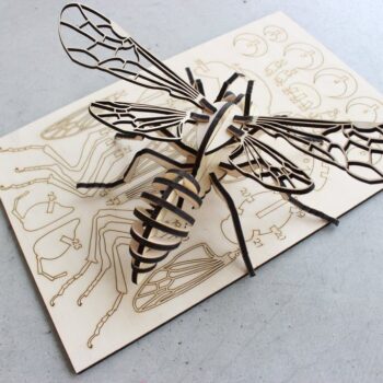 Intra απο ξύλο plywood 3mm-4mm πάχος - Bee Puzzle 4mm Κόντρα πλακέ Δίασταση 30x30 cm Intraeaxys-91jdq841 - Image 4