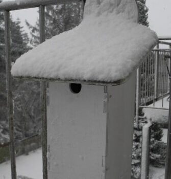 Intra απο ξύλο plywood 3mm-4mm πάχος - Φωλιασμένα Κουτιά για Πουλιά 6mm Δίασταση 30x30 cm Intraeaxys-yon02x27 - Image 3