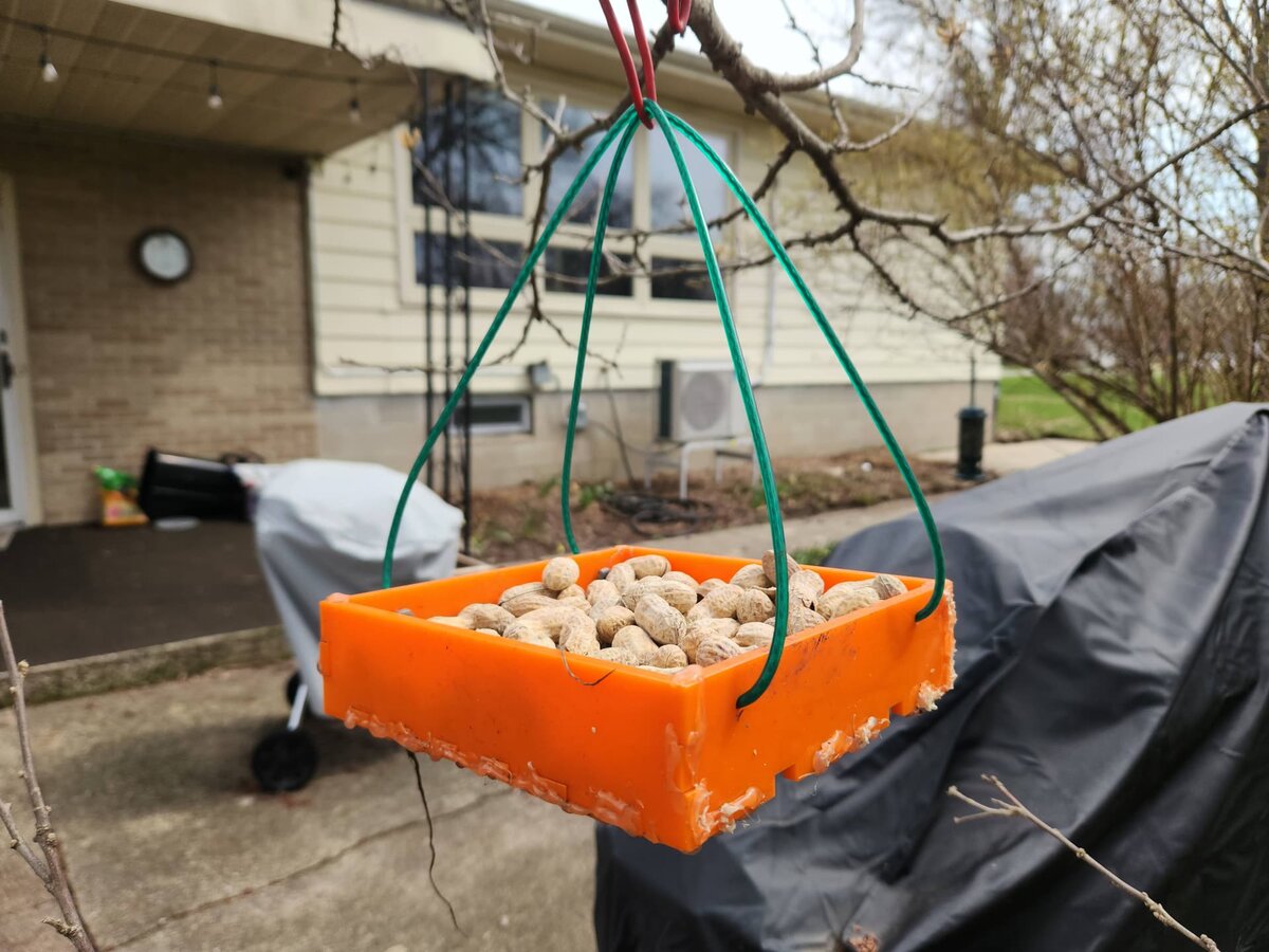 Intra απο ξύλο plywood 3mm-4mm πάχος - Κρεμαστός δίσκος τροφοδοσίας πουλιών Δίασταση 30x30 cm Intraeaxys-e1gk6lxo