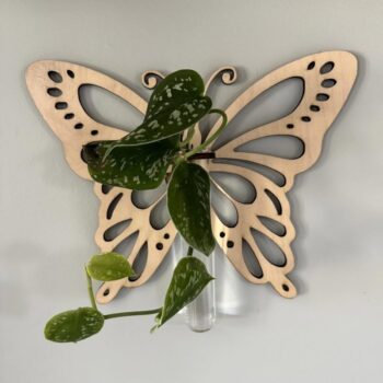 Intra απο ξύλο plywood 3mm-4mm πάχος - Σταθμός Πολλαπλασιασμού Σχεδιασμού ξύλου πεταλούδας Σταθμός φυτών ξύλου Δίασταση 30x30 cm Intraeaxys-eo0n5gw1 - Image 1