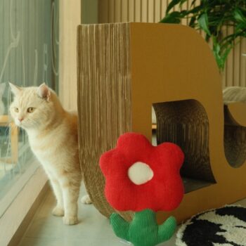 Intra απο ξύλο plywood 3mm-4mm πάχος - Σπίτι για γάτα σε σχήμα φάλαινας Ξύστρα για γάτες από χαρτόνι Δίασταση 40x50 cm Intraeaxys-voq3d4q7 - Image 4