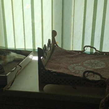 Intra απο ξύλο plywood 3mm-4mm πάχος - Ξύλινο κρεβάτι γάτας Κρεβάτι για κατοικίδια Δίασταση 30x30 cm Intraeaxys-p7ymewp7 - Image 4