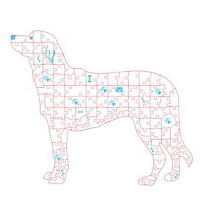 Intra απο ξύλο plywood 3mm-4mm πάχος - Παζλ για σκύλους Δίασταση 30x30 cm Intraeaxys-pok3eq97