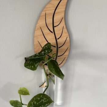 Intra απο ξύλο plywood 3mm-4mm πάχος - Ζαρντινιέρες τοίχου σε σχήμα φύλλου για φυτά εσωτερικού χώρου, σταθμός πολλαπλασιασμού φυτών, διακόσμηση τοίχου Δίασταση 30x30 cm Intraeaxys-p7y3ryzo - Image 1