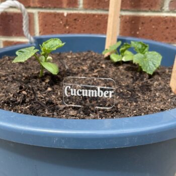 Intra απο ξύλο plywood 3mm-4mm πάχος - Ετικέτες φυτών Μαρκαδόροι Διακόσμηση κήπου Δίασταση 30x30 cm Intraeaxys-lop3prz1 - Image 3