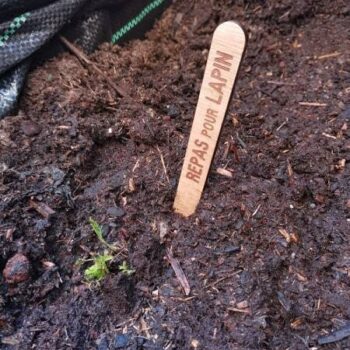 Intra απο ξύλο plywood 3mm-4mm πάχος - Μαρκαδόροι κήπου Ετικέτες φυτών Ξύλινοι πασσάλοι κήπου Δίασταση 30x30 cm Intraeaxys-yon0kjp7 - Image 3