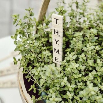 Intra απο ξύλο plywood 3mm-4mm πάχος - Μαρκαδόροι κήπου με πλακάκια σκραμπλ Δίασταση 30x30 cm Intraeaxys-6o3ye0r7 - Image 1