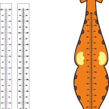 Intra απο ξύλο plywood 3mm-4mm πάχος - Rostomer Δίασταση 30x30 cm Intraeaxys-91j3q87m - Image 1