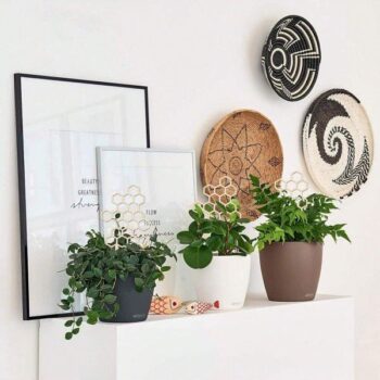 Intra απο ξύλο plywood 3mm-4mm πάχος - Ξύλινη κηρήθρα στήριξης φυτών Αναρριχητική βάση Δημιουργική δικτυωτή βάση αναρριχώμενων φυτών Δίασταση 30x30 cm Intraeaxys-51ry8gmo - Image 3