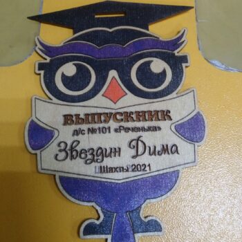 Intra απο ξύλο plywood 3mm-4mm πάχος - Βραβείο Owl Wooden Medal Owl Δίασταση 30x30 cm Intraeaxys-qomm4qpo - Image 1