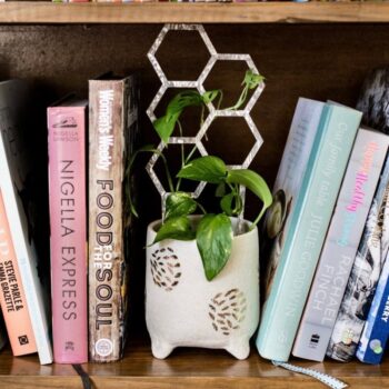 Intra απο ξύλο plywood 3mm-4mm πάχος - Υποστήριξη Μίνι Εγκαταστάσεων Καφασωτών Εσωτερικών Χώρων Δίασταση 30x30 cm Intraeaxys-p7y3r52o - Image 1