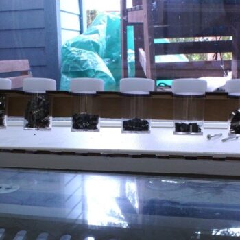 Intra απο ξύλο plywood 3mm-4mm πάχος - Αποθήκευση εξαρτημάτων Spice Rack Δίασταση 30x30 cm Intraeaxys-67wljnm1 - Image 1