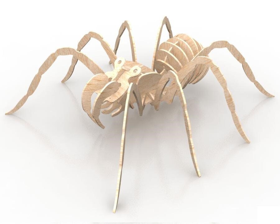 Intra απο ξύλο plywood 3mm-4mm πάχος - Spider 3D Puzzle Δίασταση 30x30 cm Intraeaxys-zo9yn2y7