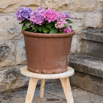 Intra απο ξύλο plywood 3mm-4mm πάχος - Μοντέρνο σκαμπό φυτών Δίασταση 30x30 cm Intraeaxys-91jdjwl1 - Image 3