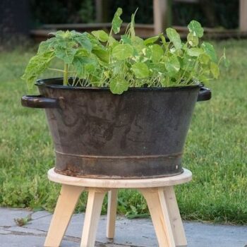 Intra απο ξύλο plywood 3mm-4mm πάχος - Σκαμπό φυτών Δίασταση 30x30 cm Intraeaxys-eoxly2vo - Image 1