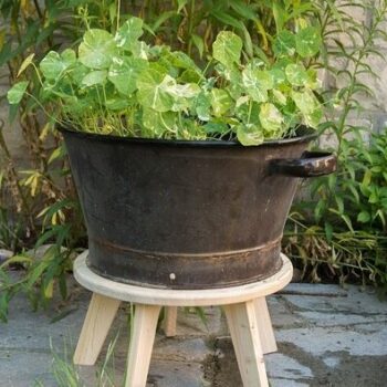 Intra απο ξύλο plywood 3mm-4mm πάχος - Σκαμπό φυτών Δίασταση 30x30 cm Intraeaxys-eoxly2vo - Image 3