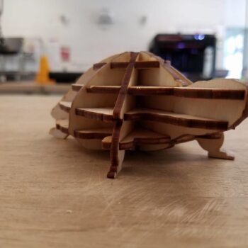 Intra απο ξύλο plywood 3mm-4mm πάχος - Το αρχείο PDF Turtle Δίασταση 30x30 cm Intraeaxys-075ylnpo - Image 4