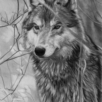 Intra απο ξύλο plywood 3mm-4mm πάχος - Αρχείο ημιτονικής εικόνας Wolf BMP με δυνατότητα χάραξης λέιζερ Δίασταση 30x30 cm Intraeaxys-67wl45m1 - Image 1