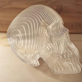 Intra απο ξύλο plywood 3mm-4mm πάχος - Ακρυλικό τρισδιάστατο μοντέλο κρανίου Δίασταση 20x20 cm Intraeaxys-91jdlv81 - Image 1