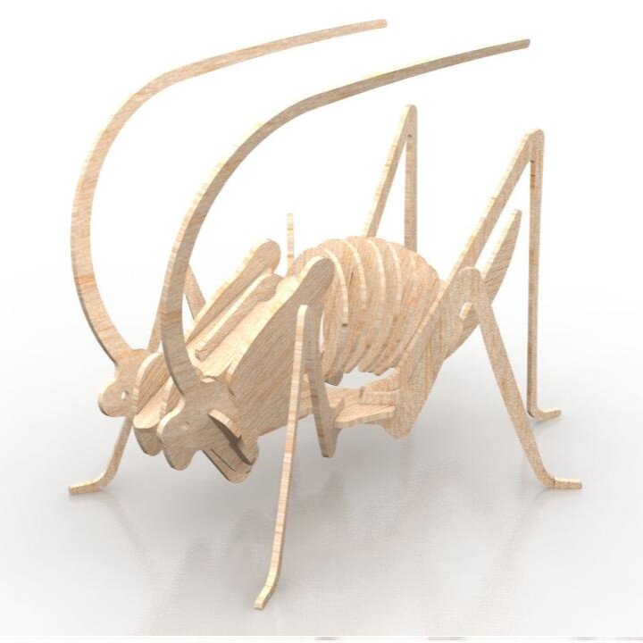 Intra απο ξύλο plywood 3mm-4mm πάχος - Τρισδιάστατο παζλ Cricket Grasshopper Δίασταση 30x30 cm Intraeaxys-qomm8v5o