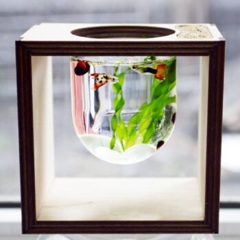 Intra απο ξύλο plywood 3mm-4mm πάχος - Ενυδρείο σε λάμπα φωτός Δίασταση 30x30 cm Intraeaxys-lop32yx1 - Image 1