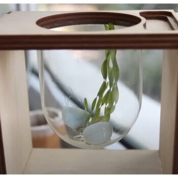 Intra απο ξύλο plywood 3mm-4mm πάχος - Ενυδρείο σε λάμπα φωτός Δίασταση 30x30 cm Intraeaxys-lop32yx1 - Image 7