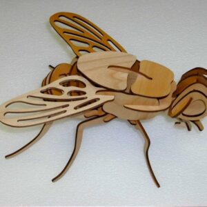 Intra απο ξύλο plywood 3mm-4mm πάχος - Πρότυπο μοντέλου 3D παζλ ξύλινη μύγα Δίασταση 30x30 cm Intraeaxys-67wlmy81