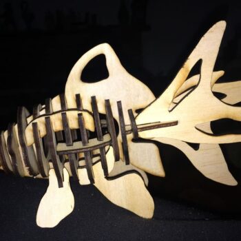 Intra απο ξύλο plywood 3mm-4mm πάχος - Goldfish 3D Puzzle 2,7mm Κόντρα πλακέ Δίασταση 30x30 cm Intraeaxys-6o3yl0q7 - Image 3