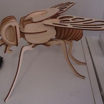 Intra απο ξύλο plywood 3mm-4mm πάχος - Πρότυπο 3D μοντέλου ξύλινη μύγα Δίασταση 30x30 cm Intraeaxys-eo20m847 - Image 1