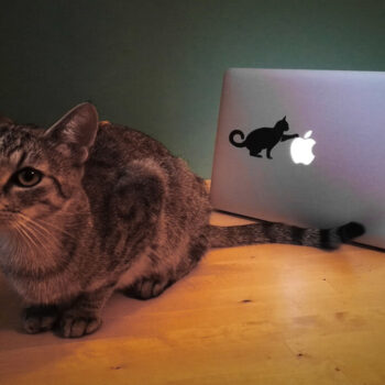 Intra απο ξύλο plywood 3mm-4mm πάχος - Αυτοκόλλητο Laptop Cat 12x7 cm  Δίασταση 30x30 cm Intraeaxys-51rry631 - Image 1