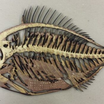 Intra απο ξύλο plywood 3mm-4mm πάχος - Διακοσμητικό τοίχου σε αποσύνθεση ψαριών Δίασταση 30x30 cm Intraeaxys-6o3ye8r7 - Image 1