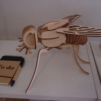 Intra απο ξύλο plywood 3mm-4mm πάχος - Fly 3D Woodcraft Hobby Ξύλινο μοντέλο Δίασταση 30x30 cm Intraeaxys-91j5n4om - Image 1