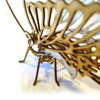 Intra απο ξύλο plywood 3mm-4mm πάχος - Ξύλινη πεταλούδα τρισδιάστατο παζλ Δίασταση 30x30 cm Intraeaxys-51rrln01 - Image 4