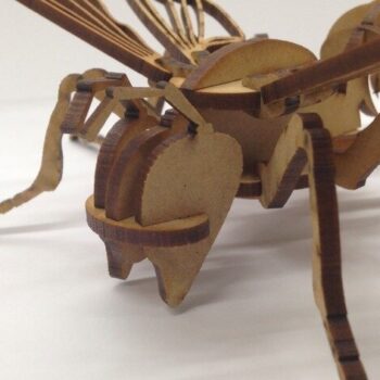 Intra απο ξύλο plywood 3mm-4mm πάχος - Bee 3D Δίασταση 30x30 cm Intraeaxys-91j2vpom - Image 1