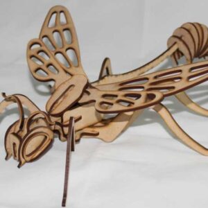 Intra απο ξύλο plywood 3mm-4mm πάχος - наездник Δίασταση 30x30 cm Intraeaxys-pokd4j1j