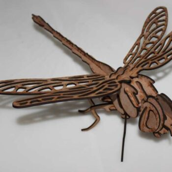 Intra απο ξύλο plywood 3mm-4mm πάχος - strecoza (dragonfly) Δίασταση 30x30 cm Intraeaxys-r7vykk7d - Image 1