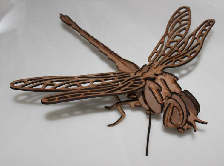 Intra απο ξύλο plywood 3mm-4mm πάχος - strecoza (dragonfly) Δίασταση 30x30 cm Intraeaxys-r7vykk7d